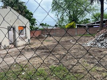 LOTE