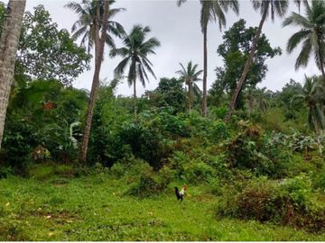 10 Hectares Lot for sale in Brgy Salvacion, Hinunangan Southern Leyte