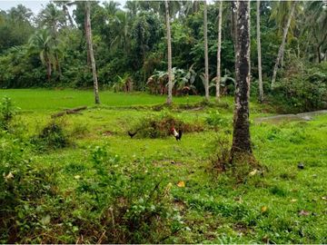 10 Hectares Lot for sale in Brgy Salvacion, Hinunangan Southern Leyte