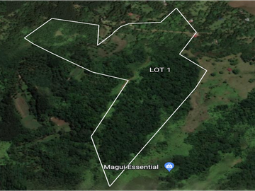 10 Hectares Lot for sale in Brgy Salvacion, Hinunangan Southern Leyte