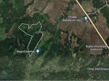 10 Hectares Lot for sale in Brgy Salvacion, Hinunangan Southern Leyte