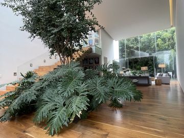 Residencia de Lujo en Jardines del Pedregal