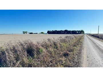 CAMPO AGRICOLA EN VENTA - 31 HAS - DISTRITO QUEBRACHO, ENTRE RIOS