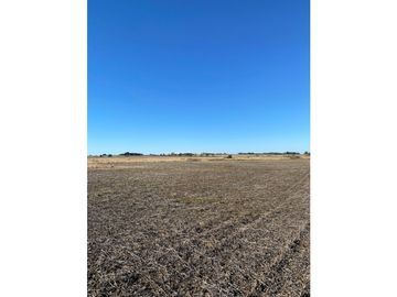 CAMPO AGRICOLA EN VENTA - 31 HAS - DISTRITO QUEBRACHO, ENTRE RIOS
