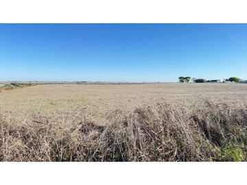 CAMPO AGRICOLA EN VENTA - 31 HAS - DISTRITO QUEBRACHO, ENTRE RIOS