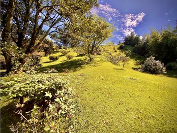 Finca Via San Antonio La Ceja