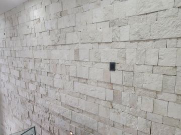 Casa en Venta en Altozano Fraccionamiento privado