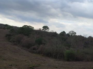 Hacienda en venta 150HA. - Cerecita - Prov del Guayas