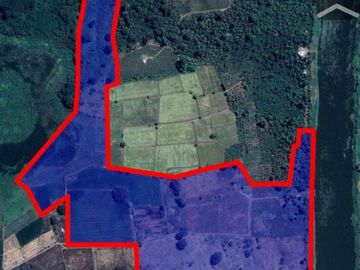 HACIENDA EN VENTA 34.5 HECTAREAS - 19HAS. ARROZ / 1HA. CACAO-CANTÓN COLIMES
