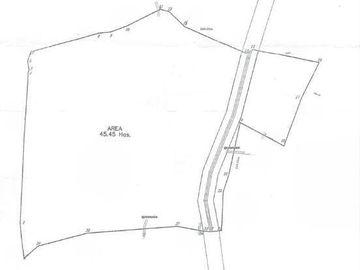 EN VENTA TERRENO 45 HECTAREAS  -CANTÓN DAULE - PROV. GUAYAS