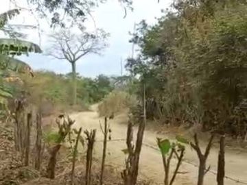 EN VENTA FINCA DE 1 HECTAREA - CERECITA - PROV. DEL GUAYAS
