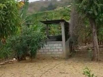 EN VENTA FINCA DE 1 HECTAREA - CERECITA - PROV. DEL GUAYAS
