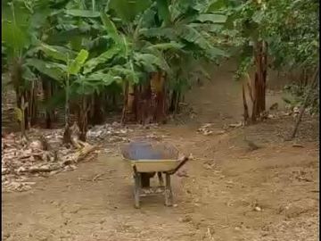 EN VENTA FINCA DE 1 HECTAREA - CERECITA - PROV. DEL GUAYAS