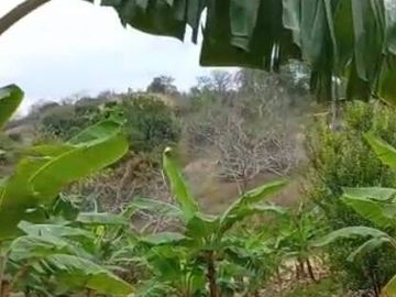 EN VENTA FINCA DE 1 HECTAREA - CERECITA - PROV. DEL GUAYAS