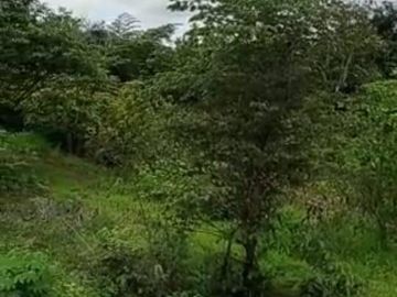EN VENTA TERRENO 1 HECTÁREA - VÍA A SALINAS KM 71- Al pie de la vía
