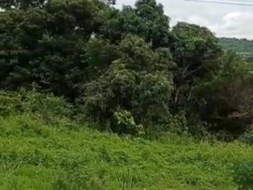 EN VENTA TERRENO 1 HECTÁREA - VÍA A SALINAS KM 71- Al pie de la vía