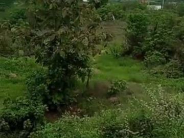 EN VENTA TERRENO 1 HECTÁREA - VÍA A SALINAS KM 71- Al pie de la vía