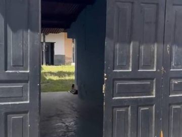 Propiedadcon ubicación privilegiada en el centro con locales comerciales