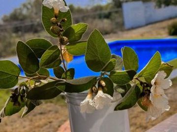 VENTA DE QUINTA EN SANTA ISABEL CADEREYTA