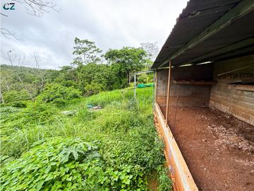 Venta de finca en La Chorrera vía nuevo emperador.