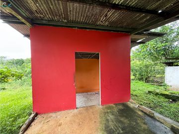 Venta de finca en La Chorrera vía nuevo emperador.