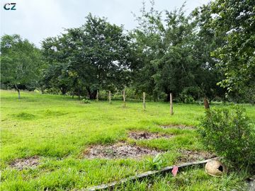 Venta de finca en La Chorrera vía nuevo emperador.