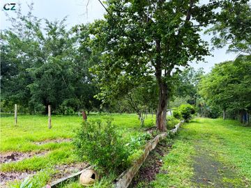 Venta de finca en La Chorrera vía nuevo emperador.