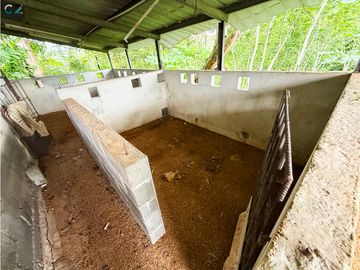 Venta de finca en La Chorrera vía nuevo emperador.