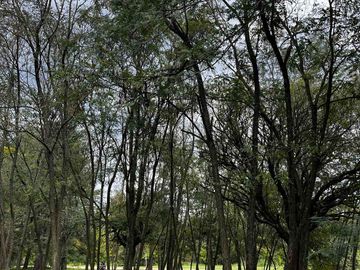 VENTA LOTE BARRIO AMARYLIS CLUB DE CAMPO ESQUINA