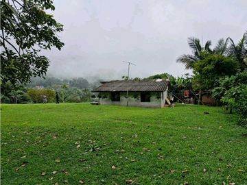 LOTE CON CASA PARA REMODELAR-FRENTE A LA BARRA DE MANOLO - DAPA