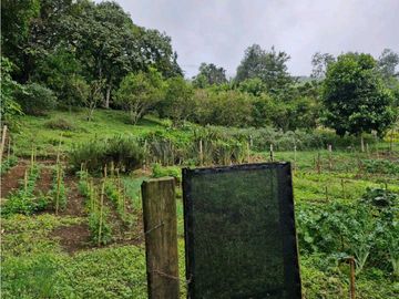 LOTE CON CASA PARA REMODELAR-FRENTE A LA BARRA DE MANOLO - DAPA