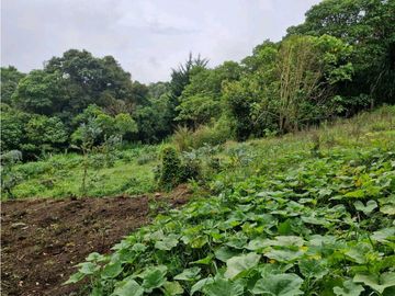 LOTE CON CASA PARA REMODELAR-FRENTE A LA BARRA DE MANOLO - DAPA