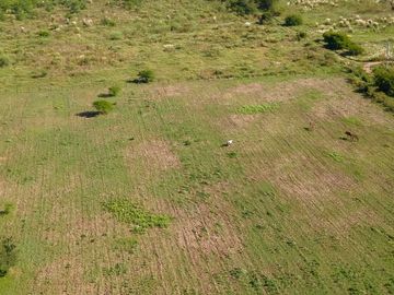 Terreno venta Moreno