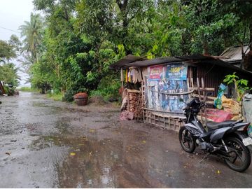 4,508 sqm residential lot in barangay salog, hinunangan, southern leyte