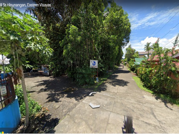 4,508 sqm residential lot in barangay salog, hinunangan, southern leyte