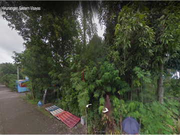 4,508 sqm residential lot in barangay salog, hinunangan, southern leyte