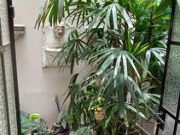 EN VENTA- DESTACADA PROPIEDAD EN ZONA CENTRO