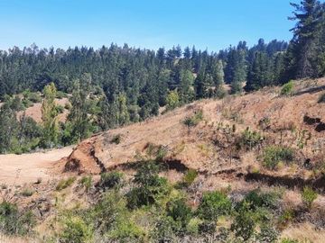 Venta Parcela Hornillo Curepto