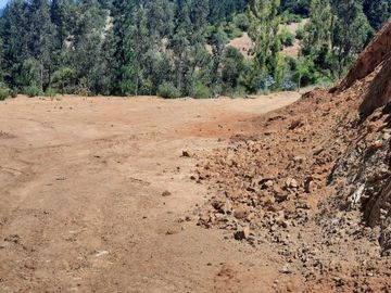 Venta Parcela Hornillo Curepto