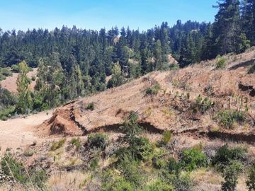 Venta Parcela Hornillo Curepto