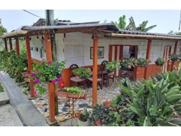 Venta Finca en Abejorral o cambio área Metropolitana