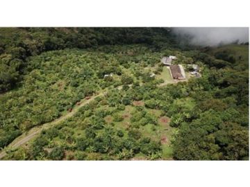 Venta Finca en Abejorral o cambio área Metropolitana