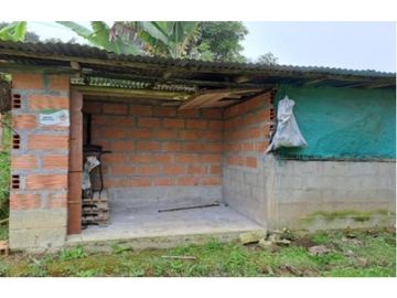 Venta Finca en Abejorral o cambio área Metropolitana
