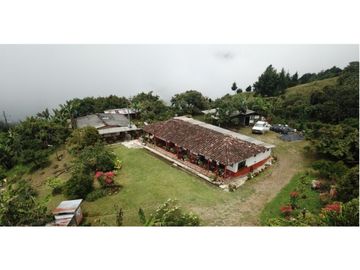 Venta Finca en Abejorral o cambio área Metropolitana