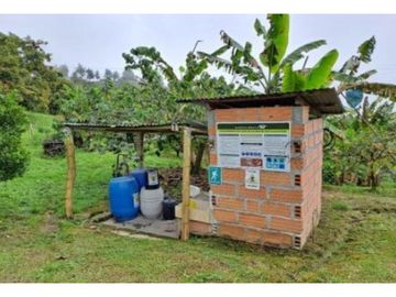 Venta Finca en Abejorral o cambio área Metropolitana