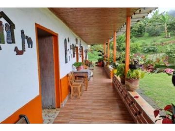 Venta Finca en Abejorral o cambio área Metropolitana