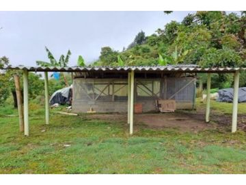Venta Finca en Abejorral o cambio área Metropolitana