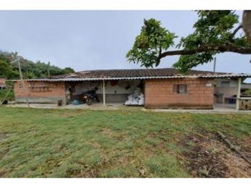 Venta Finca en Abejorral o cambio área Metropolitana