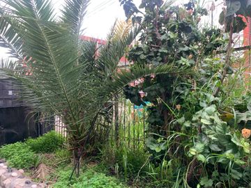 SE REMATA LEGALMENTE DEPARTAMENTO