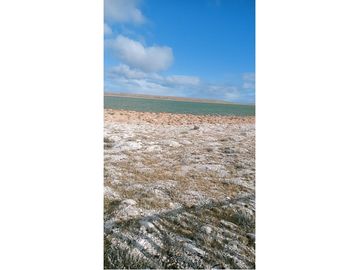 parcela en laguna de los cisnes Porvenir